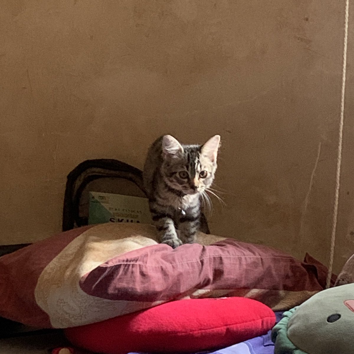 adik nara bangun tidurrrr