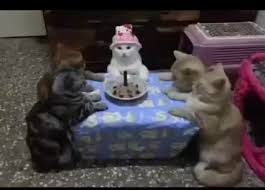 Hachitari1's tweet photo. Ahh Bday, day like any other. https://t.co/KKWH12tnAR