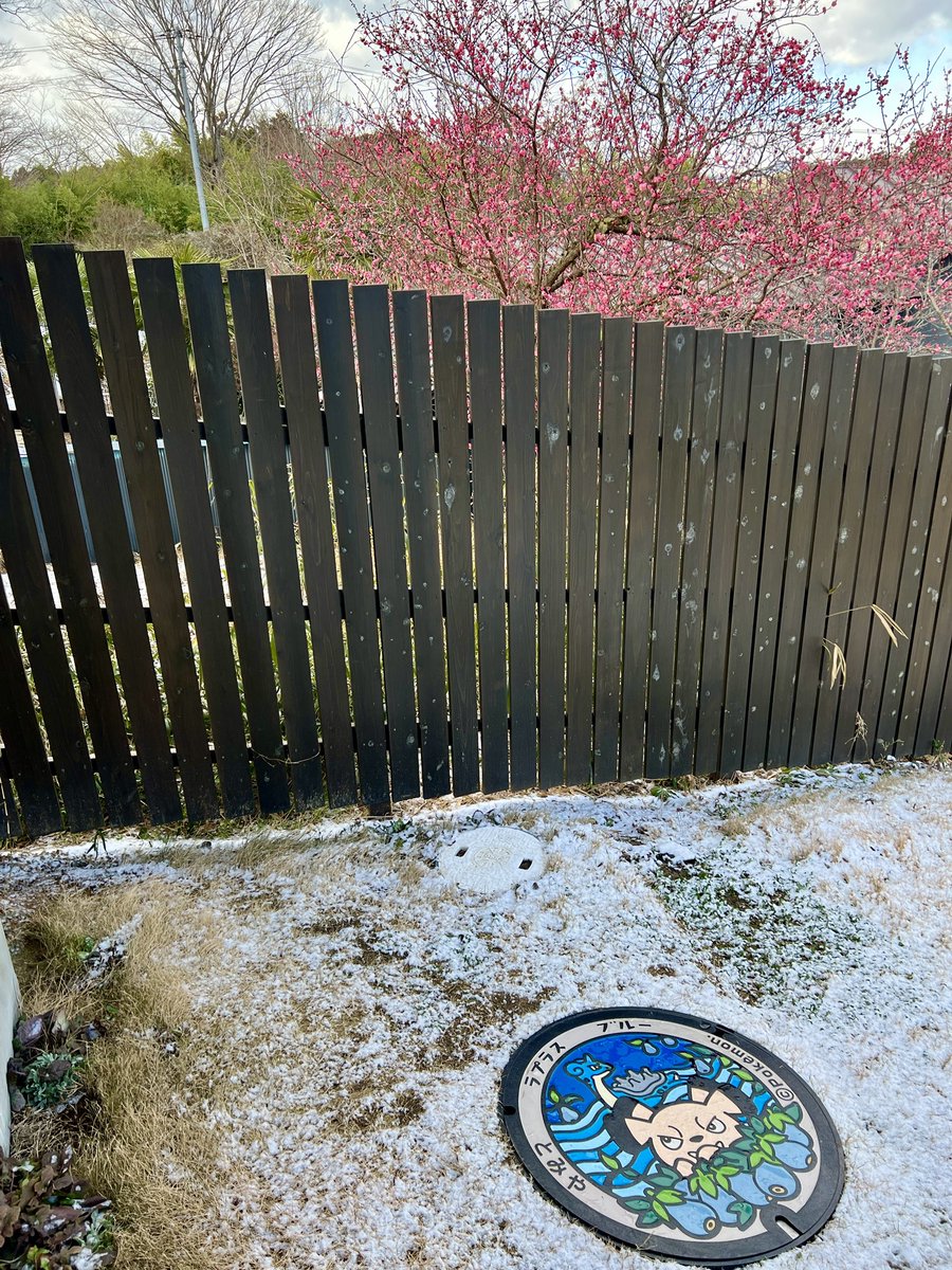 tomitomo13's tweet photo. もう3月下旬にさしかかるこの時期でも雪が降るのが東北ですよね❄️
春よ、来い🥹
#とみやど #富谷市 #地域おこし協力隊 https://t.co/suKF2GfBEg