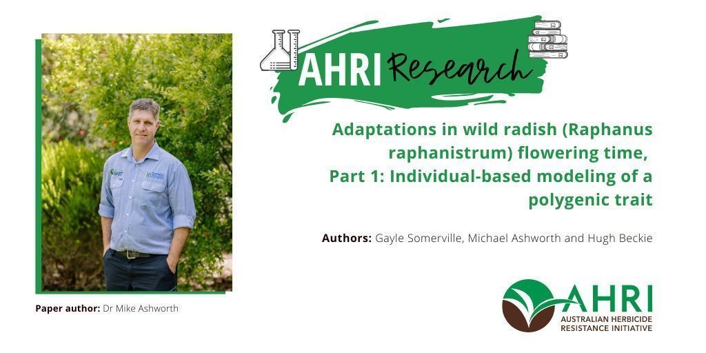 Can wild radish adapt to evade HWSC? Modeling of wild radish flowering time adaptions conducted by @Mike_AHRI and @GayleSomerville found in-field shifts were not as early as expected, and only occurred when herbicidal kill rates were reduced. Read here: buff.ly/3TGGg6C