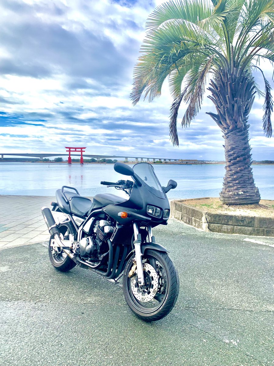 🦴 りょへぼ 🦖 tweet media