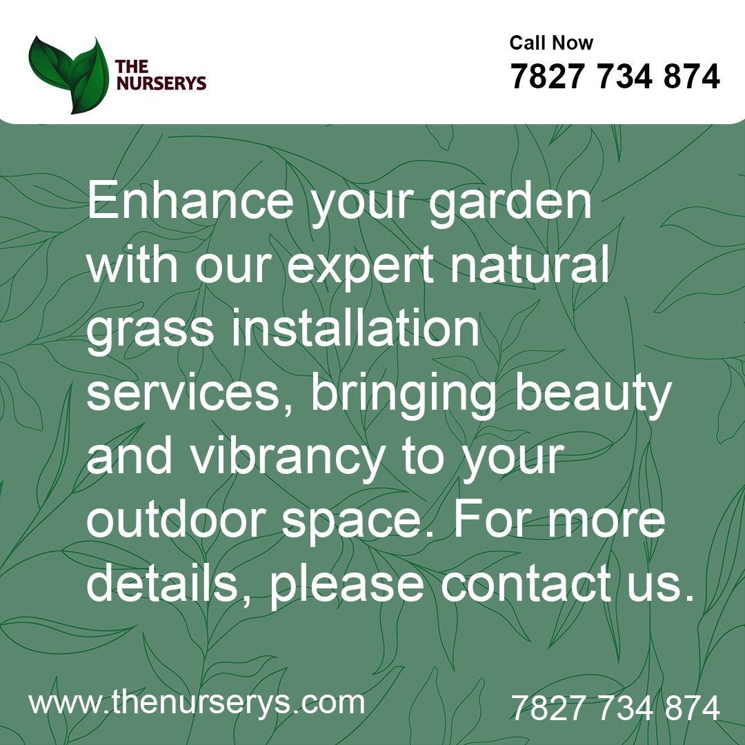 TheNurserys's tweet photo. We've recently completed landscape projects at Emaar Palm Gardens, crafting beautiful gardens and installing lush plants and natural grass. The site looks absolutely stunning and impressive. If you're in need of landscape services, please don't hesitate to contact us today. https://t.co/uOBhUwHoQ1