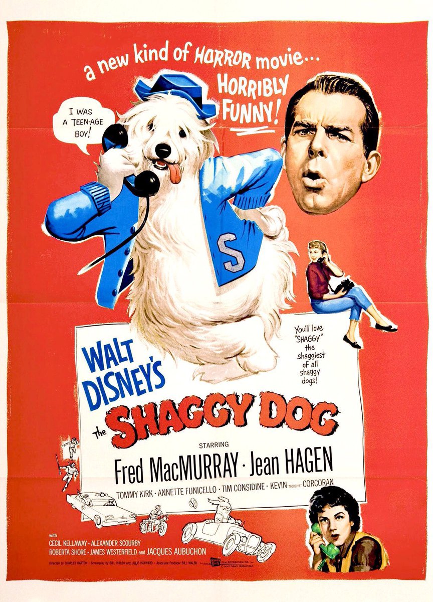 FilmNewsNos's tweet photo. 🎬MOVIE HISTORY: 65 years ago today, March 19, 1959, the movie ‘The Shaggy Dog’ opened in theaters!
#TommyKirk #FredMacMurray #JeanHagen #AnnetteFunicello #TimConsidine #KevinCorcoran #CecilKellaway #AlexanderScourby #RobertaShore #JamesWesterfield #StrotherMartin @Disney https://t.co/UcR4lhLEmF