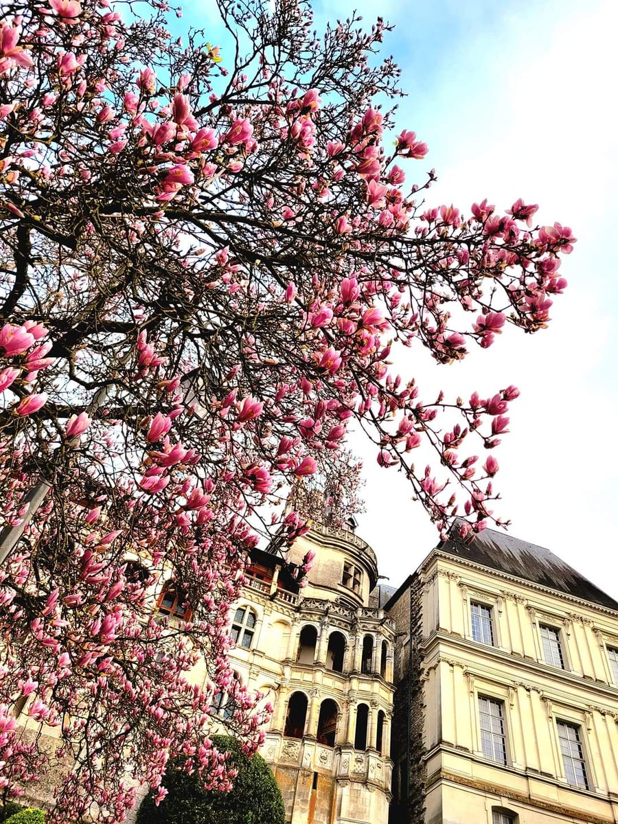 Bonne journée de #Printemps à toutes et tous ⚘️ #mohamedmoulayphoto #photooftheday #photography #Tours #Touraine #Blois #CentreValdeLoire