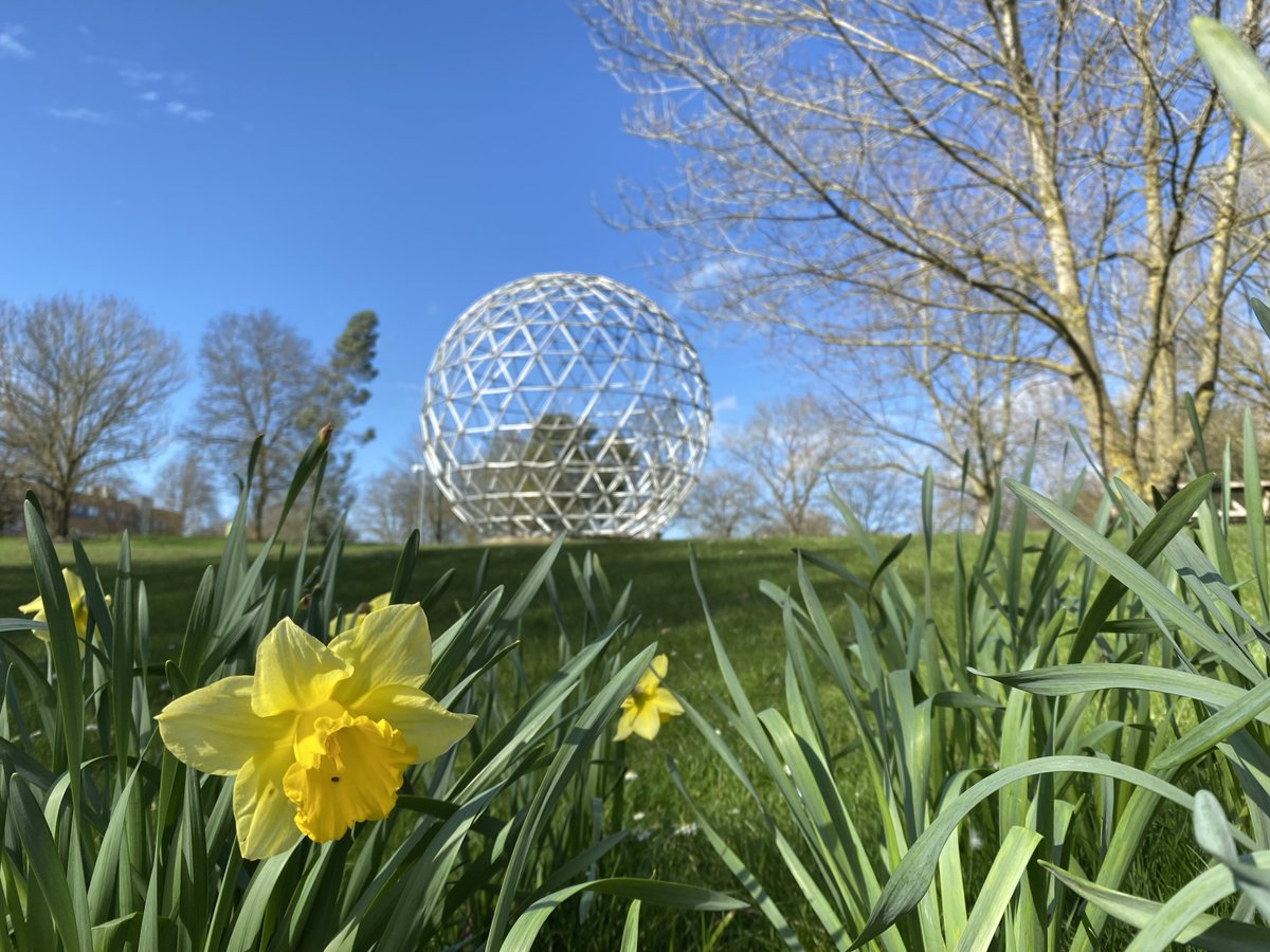 It's the First Day of Spring and we're looking forward to more beautiful days like this on campus! ☀️ #foreversurrey #proudtobesurrey