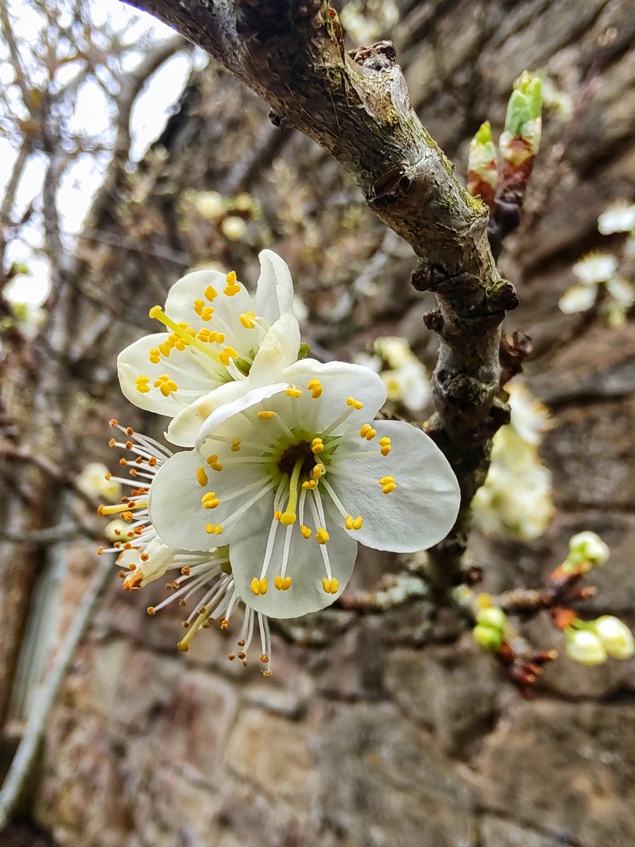 Angie88RH's tweet photo. Happy first day of Spring 💕 https://t.co/hhWB8QhP5C