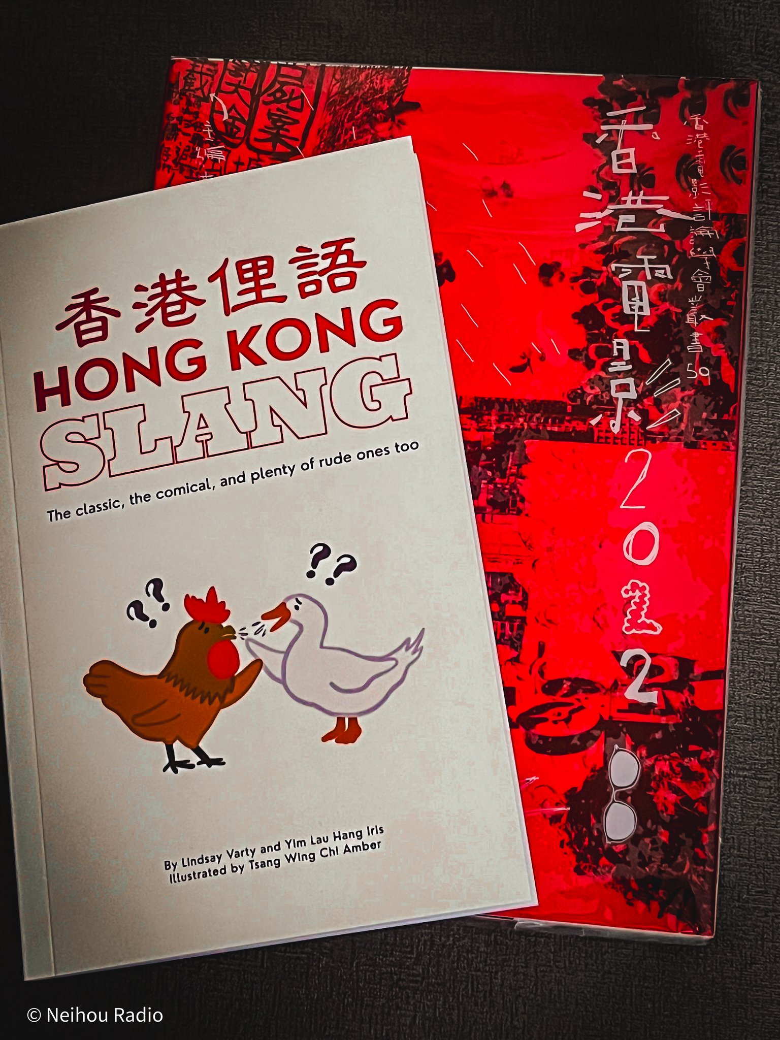 Hong Kong Slang 香港俚語