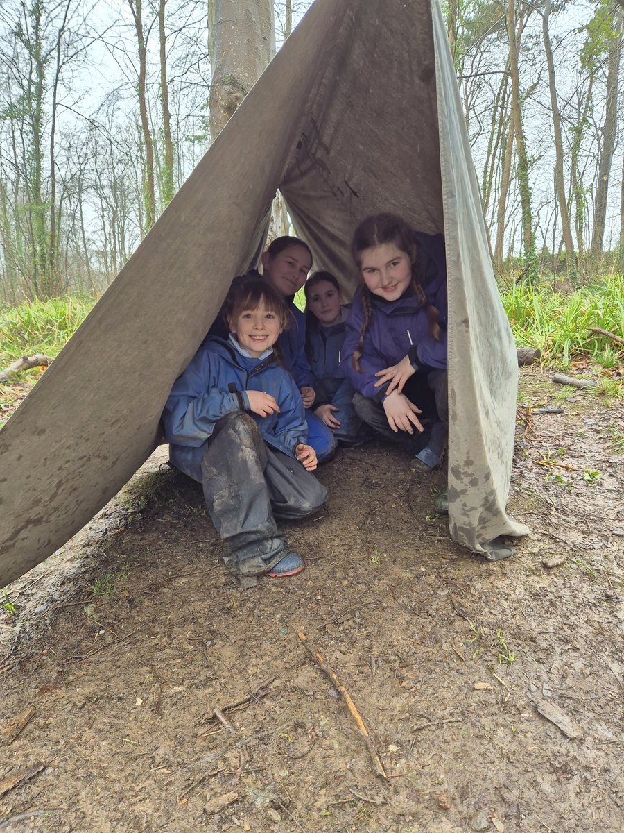 Class 5/6M tweet media