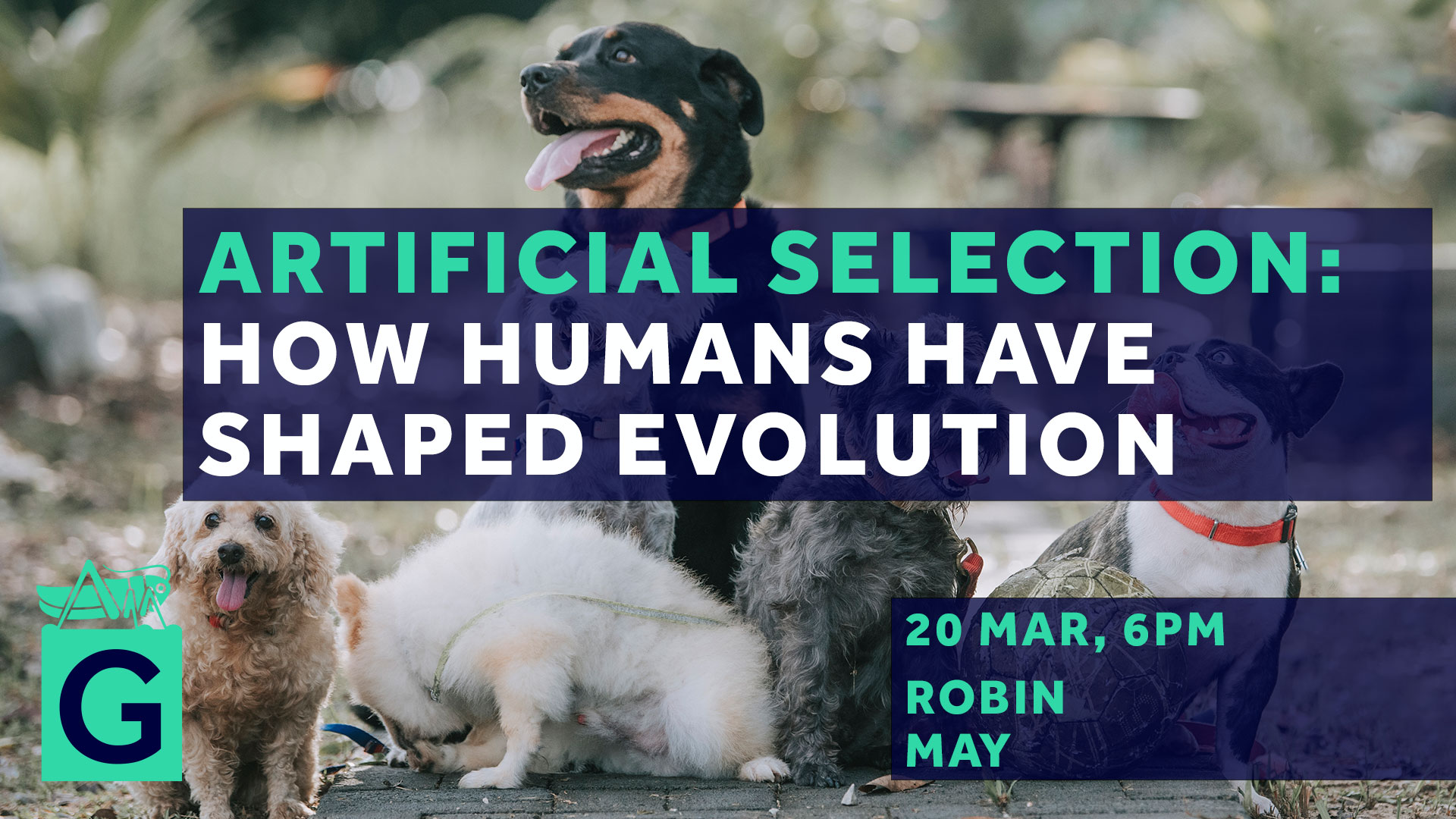 Gresham College on X: "Today at 6pm: Artificial Selection: How Humans have  Shaped Evolution Watch via: https://t.co/vQy5b4C44H Prof @RobinMay9 on how  #evolution is an ever-present, powerful process, often unleashed by human  behaviours,
