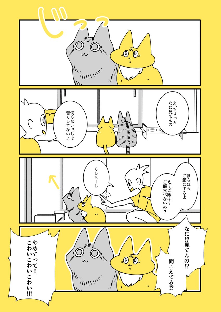 うちの猫たちのな、漫画を描いておってだな
 #知名度を上げたいので拡散してください 