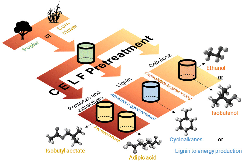 Energy_Post's tweet photo. Biomass: new “CELF” process can turn waste lignin into useable fuels, chemicals. Sustainable aviation fuel at $3.15/gallon of gasoline equivalent. Much lower process emissions https://t.co/ij4VoQHHSh #biomass #lignin #efuels #SAFs #aviation #poplar #cornstover #biorefineries https://t.co/ddmnhx9dkL