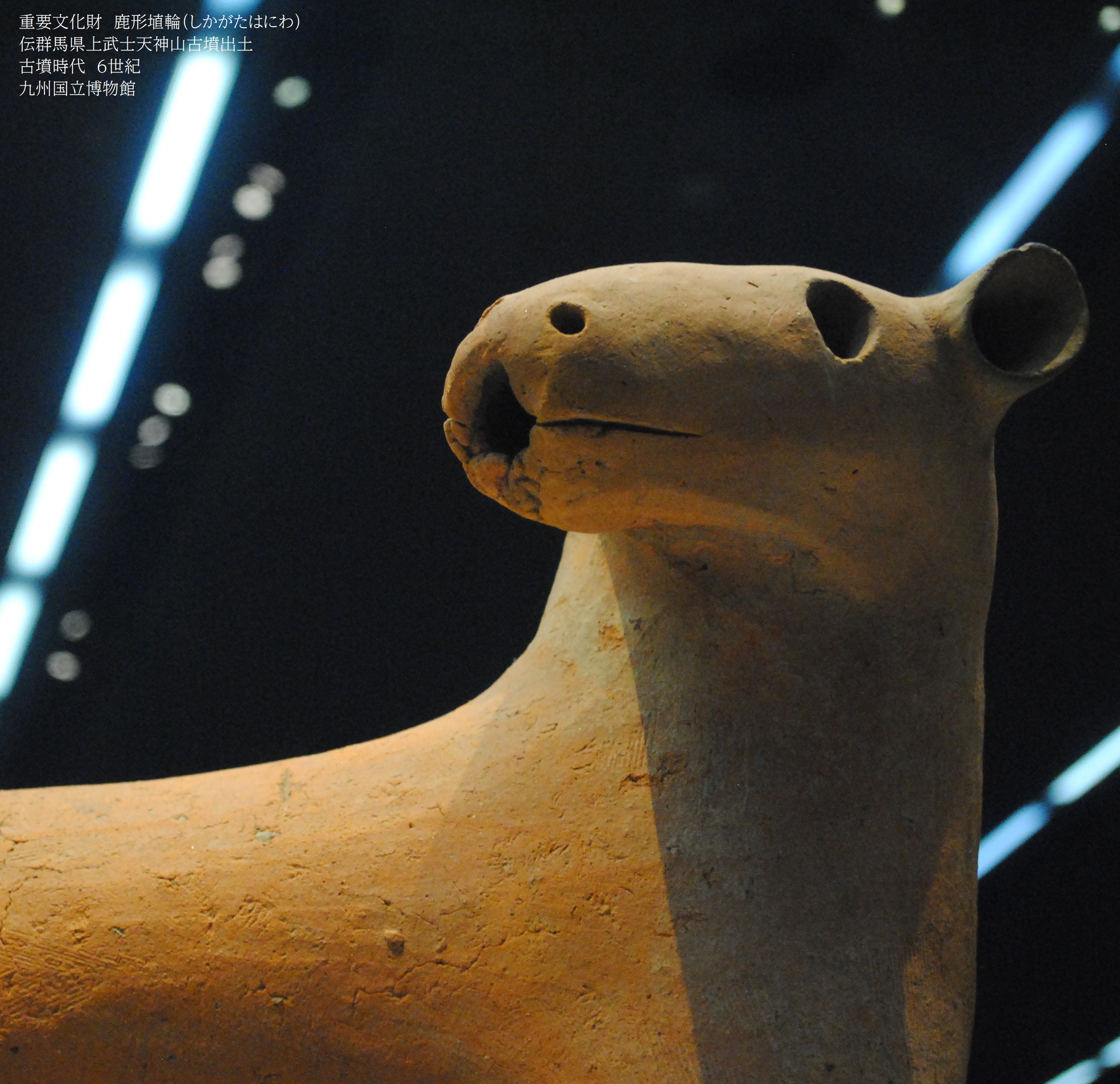 九州国立博物館 в X: „【4階基本展示室2テーマ】 当館の人気 九州国立博物館 в X: „【4階基本展示室2テーマ】 当館の人気