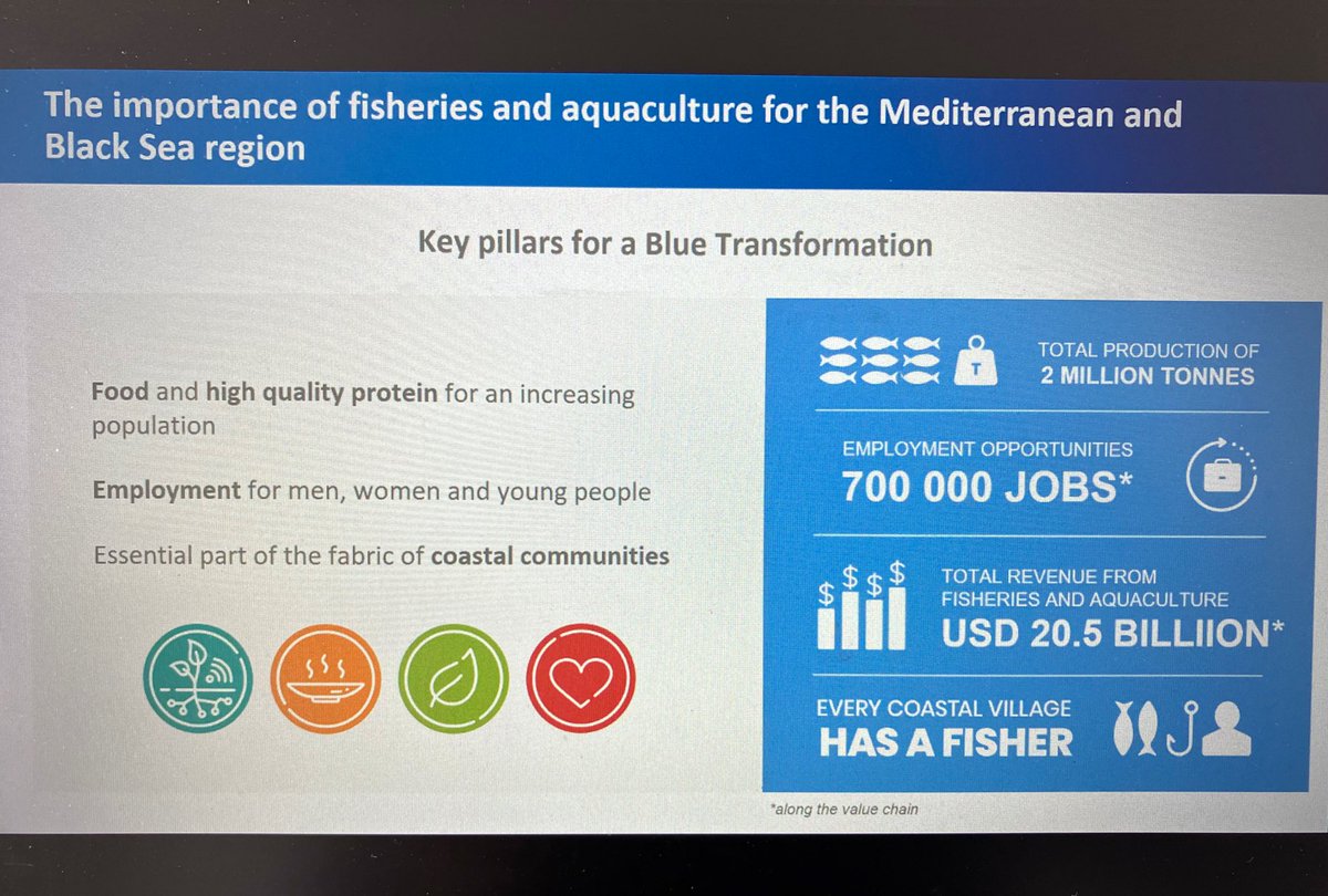 Responsible Food Systems as a key pillar for a #Sustainable #BlueEconomy Webinar on Blue Transformation: Fisheries and Aquaculture in the Mediterranean fao.org/food-systems/n… @UfMSecretariat @UN_FAO_GFCM @CIHEAM @PrimaProgram @EU_MARE