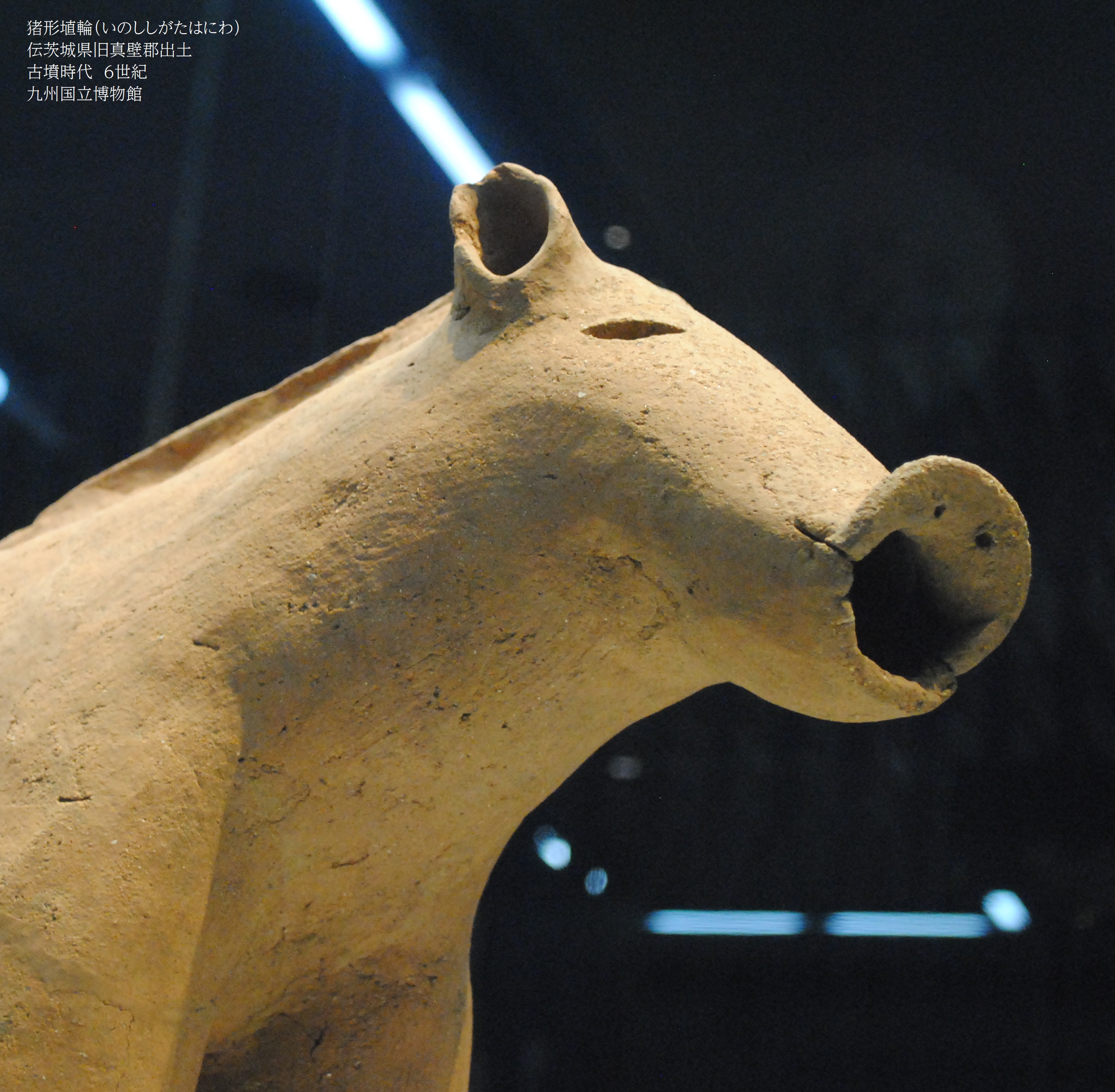 希少「中国聖獸 白澤(ハクタク)」置物内藤記念資料館 - メルカリ