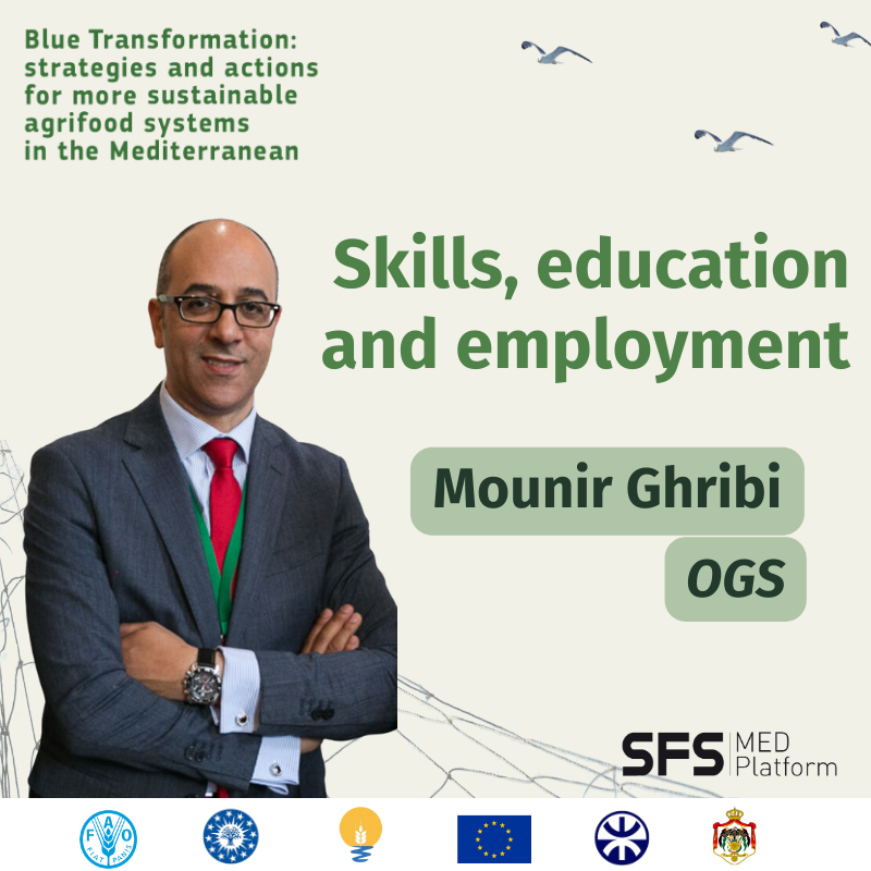 @LeancubatorDZ Skills and employment is the next topic to be developed by Mr Mounir Ghribi, Director of International Cooperation and Research Promotion at the National Institute of Oceanography and Applied Geophysics of Italy (OGS).