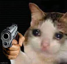 HULUX99's tweet photo. Cat meme
@AINNLayer2
#ANVM
@gaiminio
$GMRX #AINN $BLOCK
@GetBlockGames $PARAM @ParamLaboratory https://t.co/p8EOJnKkVI