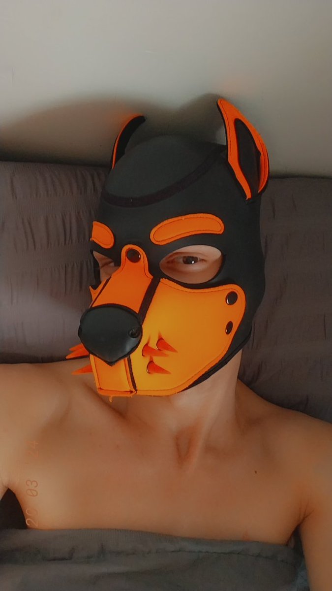 ZeroTheFurryFem's tweet photo. Just wanted to say thanks to @Hoshi_Doggo for being such a sweetheart and letting me borrow their hood and also want to that all of you amazing cutie for the support and help I really appreciate it 🤍🥰❤ https://t.co/4SmOaPhZ09