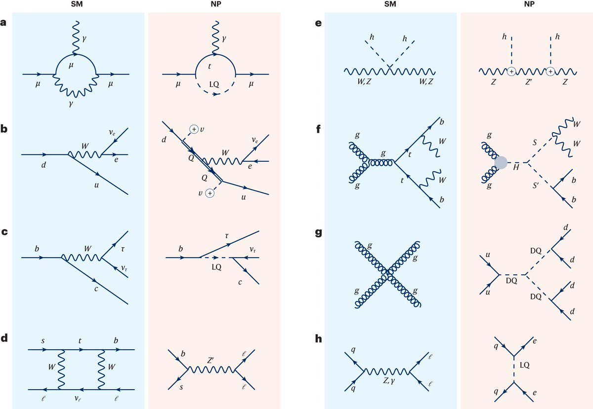 Review: Anomalies in particle physics and their implications for physics beyond the standard model by @AndreasCrivell1 & Bruce Mellado rdcu.be/dBRz3