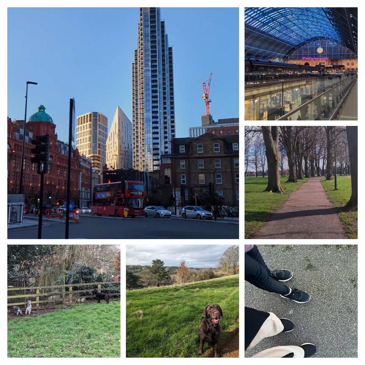 We have been walking all over cancer in Leicester, Nottingham, London, Oxfordshire &amp; more to raise money for <a href="/CR_UK/">Cancer Research UK</a>.  Please donate whatever you can to help us raise money to beat cancer - fundraise.cancerresearchuk.org/team/moosa-duk… #cancer #cancerresearch #fundraising #teamwork #walking