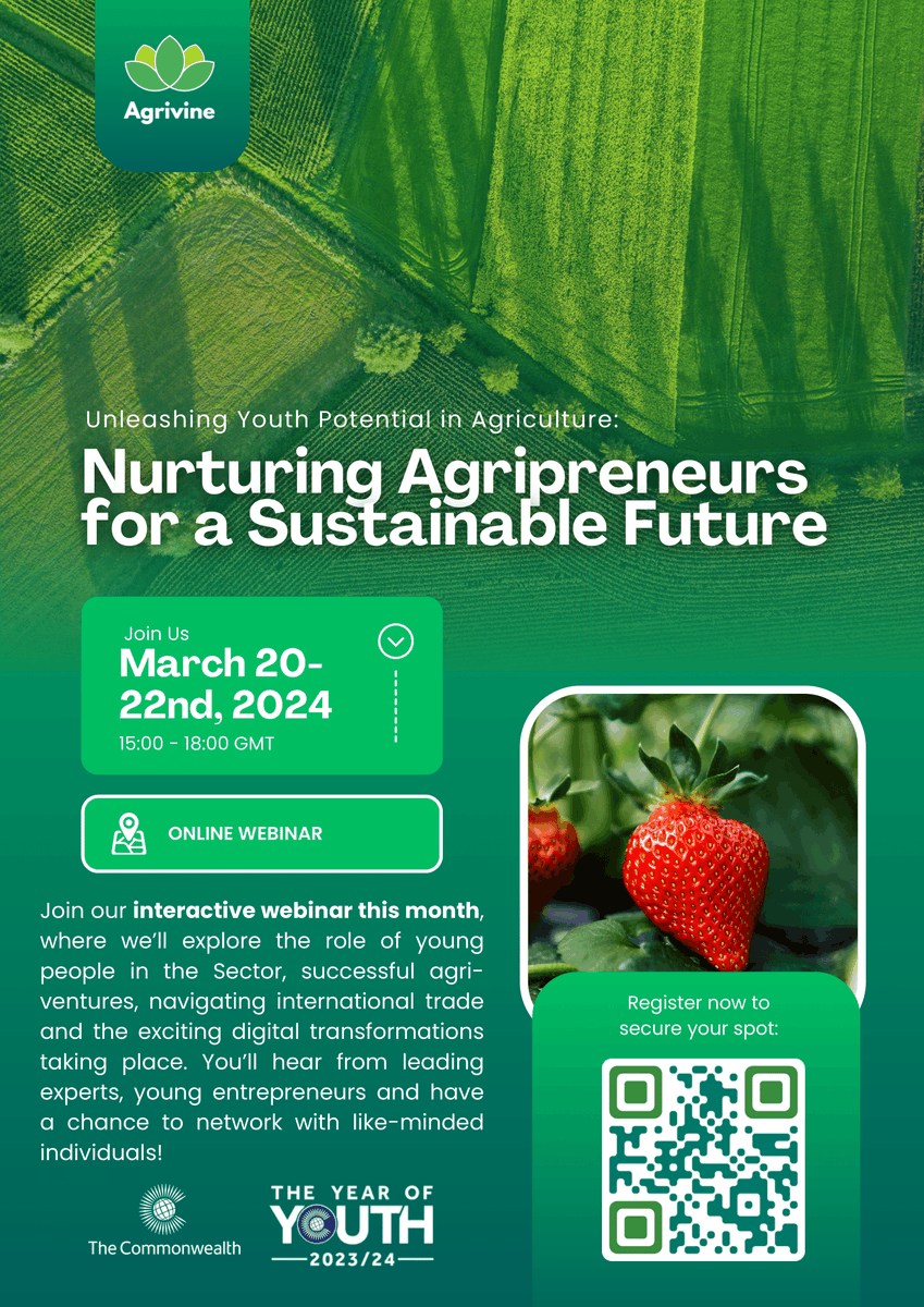 Commonwealth Youth tweet media