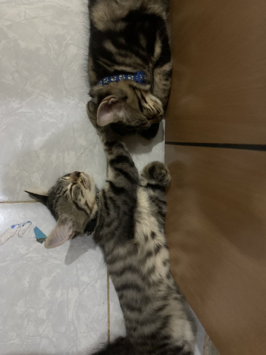 pada lemes bgt padahal ga puasa