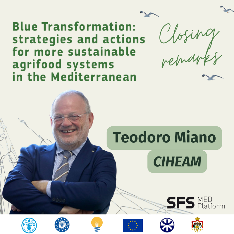 @LeancubatorDZ With the closing speech of Teodoro Miano, Secretary General of CIHEAM, it is now time to bring this rich webinar to a close.