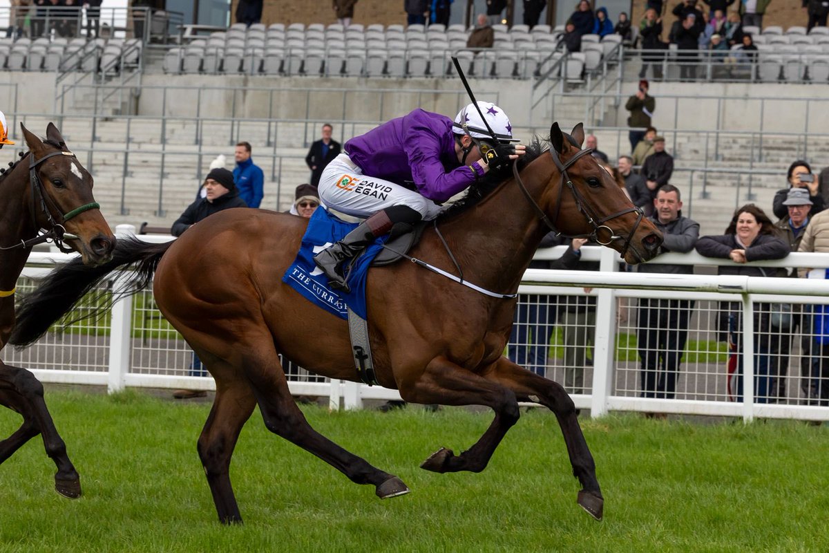 Congratulations to connection’s of Arizona Blaze who won the Castle Star and Alkumait 2 year old maiden at the Curragh on Monday.
We are delighted to continue to sponsor this prestigious race.
🥇The first 2 year old race of the year, won last year by  Gr.1 winner Bucanero Fuerte.