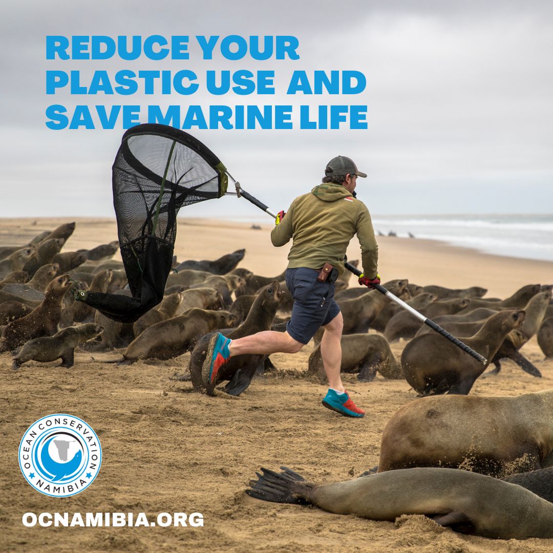 Everyone can become an animal rescuer - reduce your plastic use and always pick up trash! 

#ocn #oceanconservationnamibia #sealrescue #plasticpollution #plasticawareness #oceanpollution