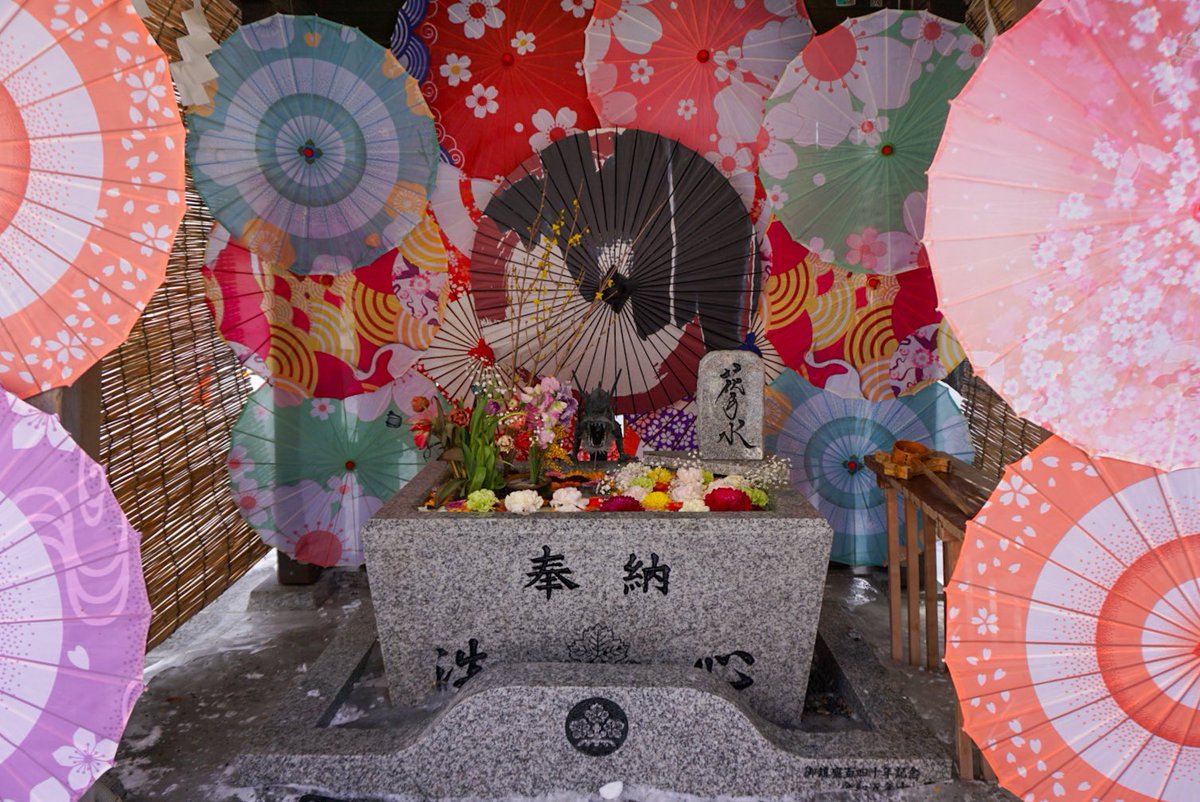 諏訪神社🌸🌼