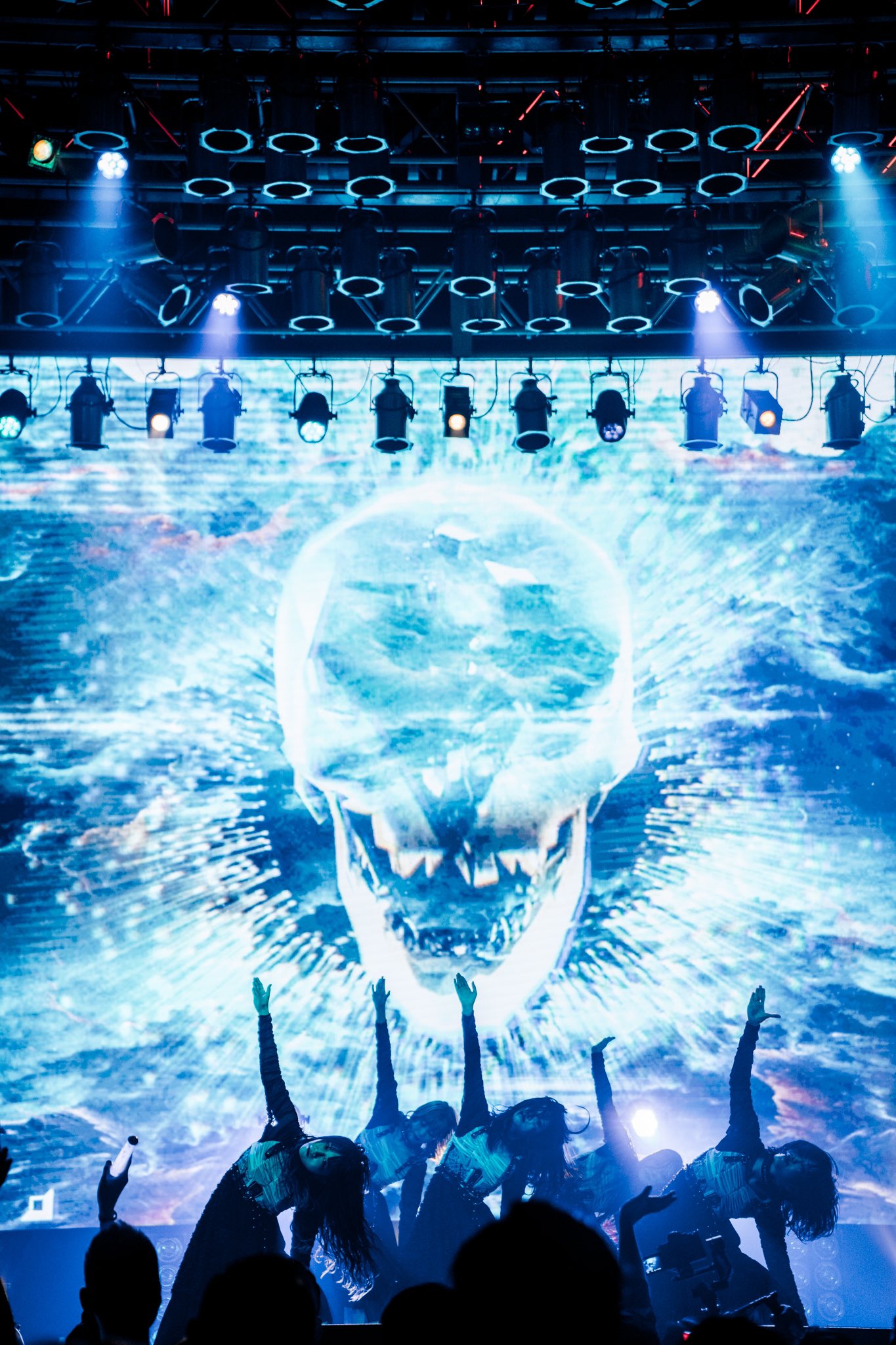 邦楽 SITUASION / The immortal envy club SITUASION / The immortal envy club