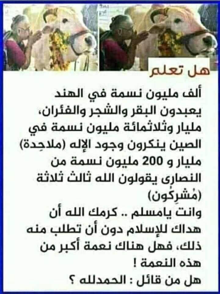 AlaaEmbaby17's tweet image. 