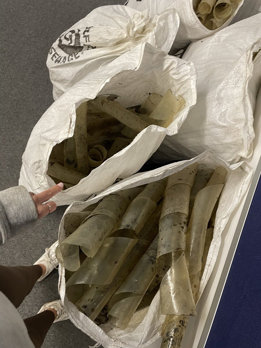 Izzy_Bridges's tweet photo. Two weeks ago I organised a “Plastic then Pizza” social for my masters cohort @SussexUni. I’m pleased to say we collected 8 bags of plastic tree guards that were in desperate need of removing!

It was a fun way of addressing a serious problem on a local scale.#PlasticPollution 🌲 https://t.co/3bNncoQXOw