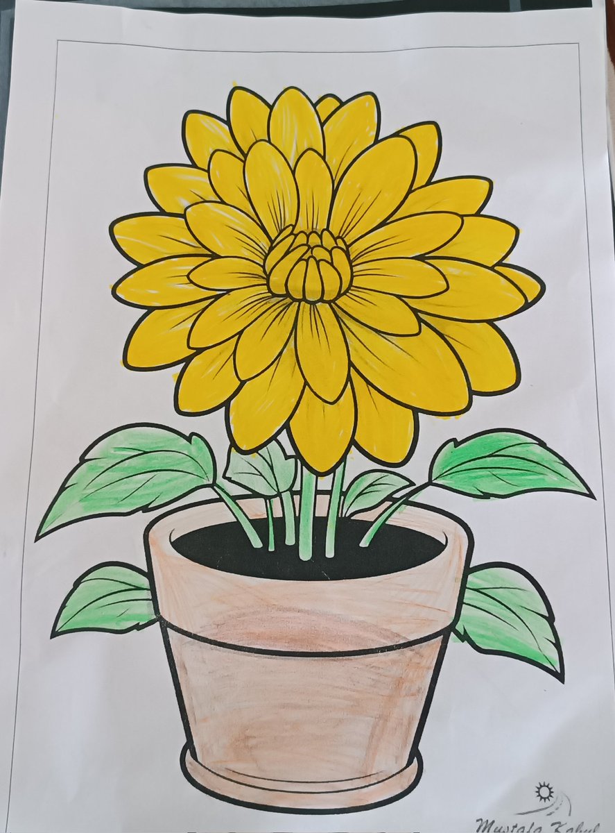 En sevdiğim renk sarıdır 💛🌻🌻