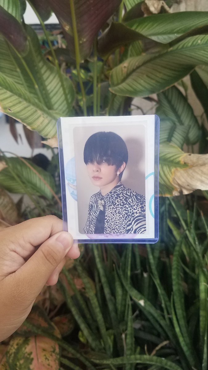 YellowMinMins's tweet image. wts lfb onhand ph

💕 Chuu / Yena / Heeseung Pcs💕

- price in alt (prio taking set)
- gcash
- jnt / lbc nsakto
- dm me for condi

DM / Comment to claim!

loona izone enhypen chuu choi yena lee heeseung smartphone dimmension howl