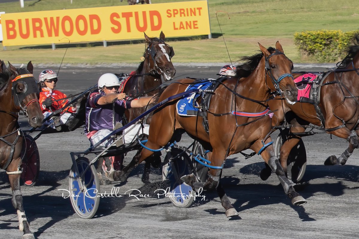 Dan Costello tweet media