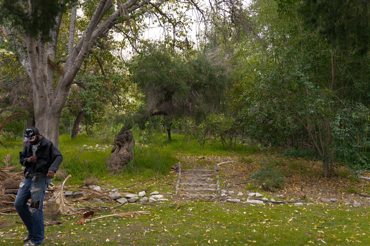 archive (@iamarchive) on Twitter photo 