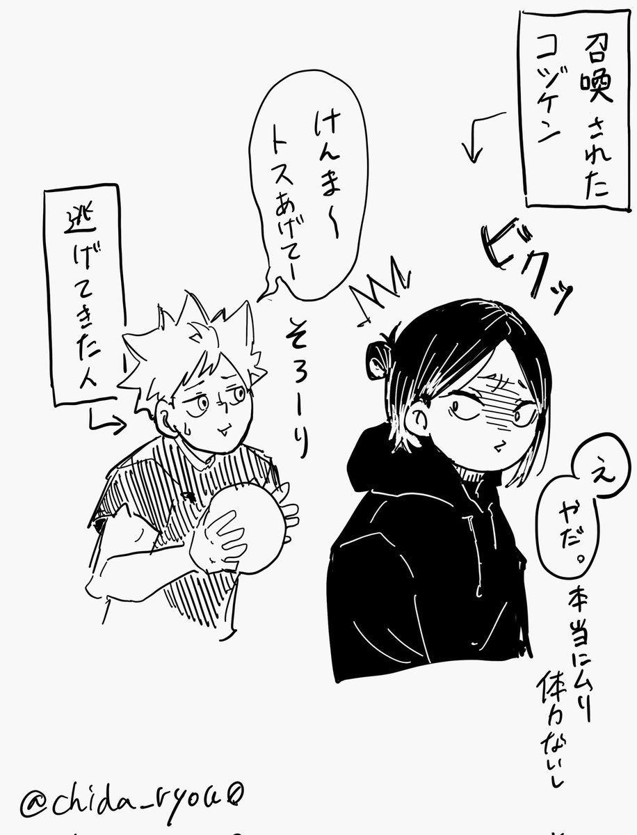 セッターたらし 
