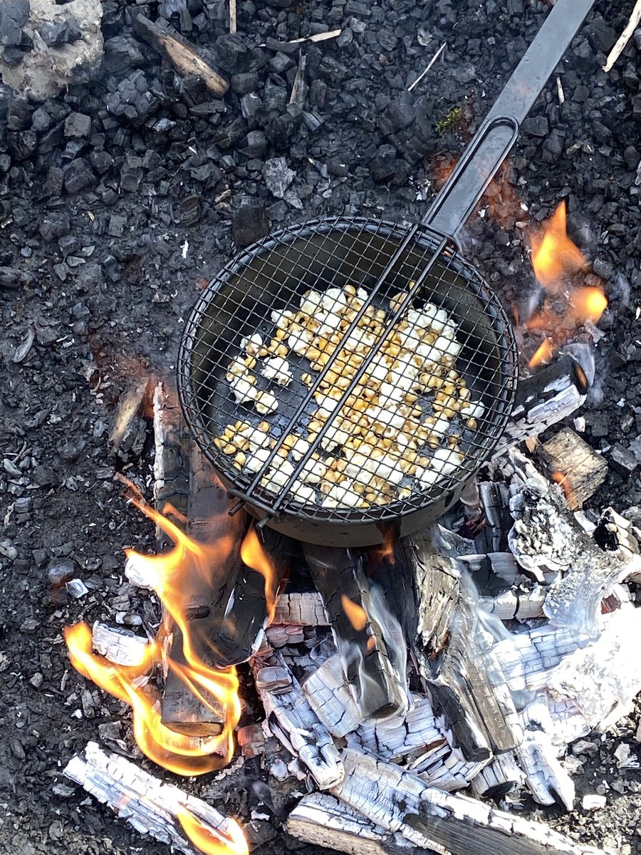 carolin17428620's tweet photo. Our first sunny day in Bramblebank Wood since September ☀️😂
Today we cooked popcorn 🍿, challenged ourselves to walk backwards on the rope bridge and  hunted for bugs 🐞🐜😡🪱
@AlthorpeKeadby https://t.co/v4Ued9tfW2