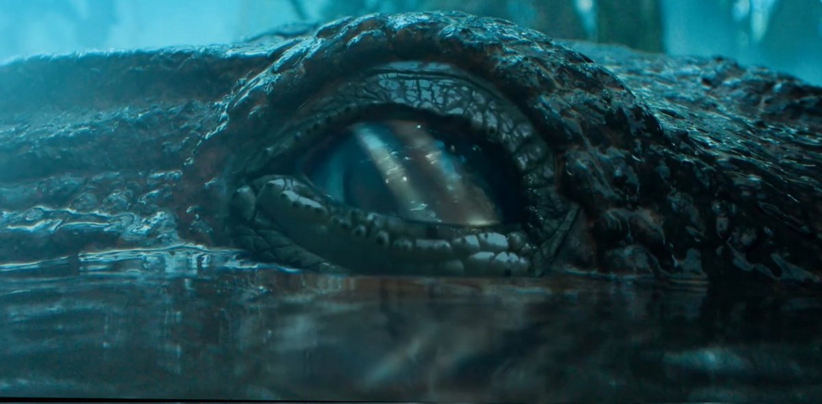 The VFX of this alligator is something else. Top-notch work.

Credits goes to late Art Director <a href="/MilanFern30/">Milan Fernandez</a> anna. #Kanguva 🙌