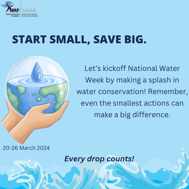 Embracing Water for Peace. Today marks the beginning of National Water Week. As we honor this vital resource, let us also reflect on its power to unite and bring peace to communities worldwide. The National Water Week will run from 20-26 March 2024.