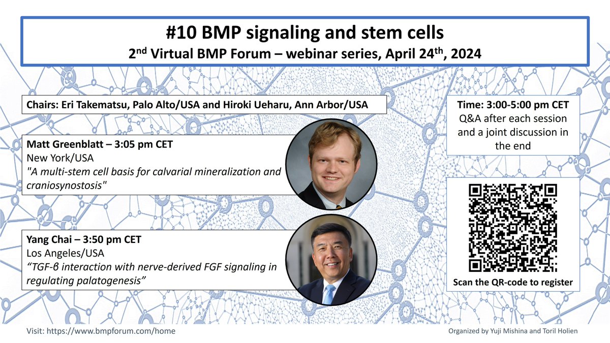 "BMP signaling and stem cells" is coming up in the 10th session of the 2nd Virtual BMP Forum. 
We are excited to have Matt Greenblatt and Yang Chai presenting 🤗. 
Please share! 
To join, sign up here or use the QR-code: docs.google.com/forms/d/1wYEES…