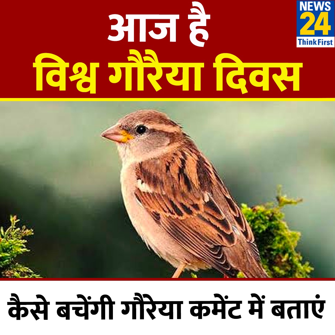 आज है विश्व गौरैया दिवस 

◆ कैसे बचेंगी गौरेया कमेंट में बताएं

#WorldSparrowDay | World Sparrow Day | #YourSpace