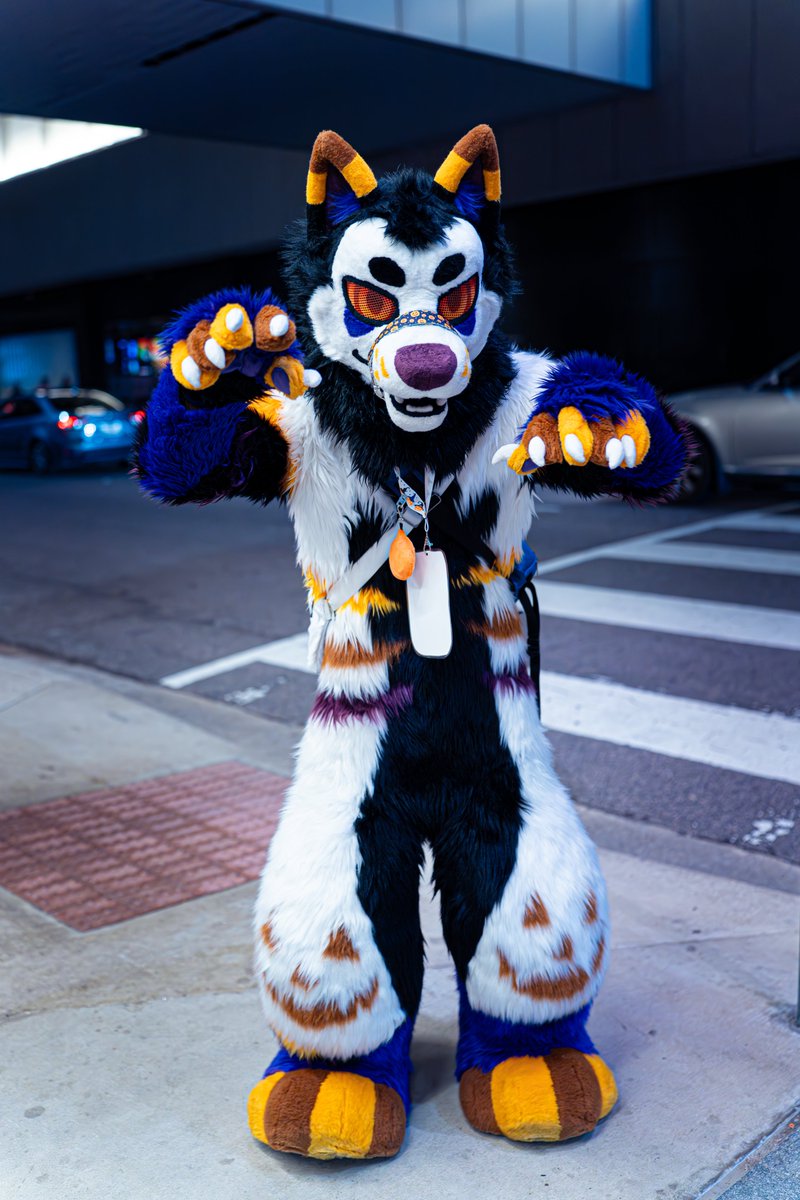 Keeewiiii's tweet photo. 🦊: @HallowJackal
🧵: @obyrii
📷: @Keeewiiii

#furryfiesta #TFF2024 #furries #fursuit https://t.co/JQ4TJcf6MI