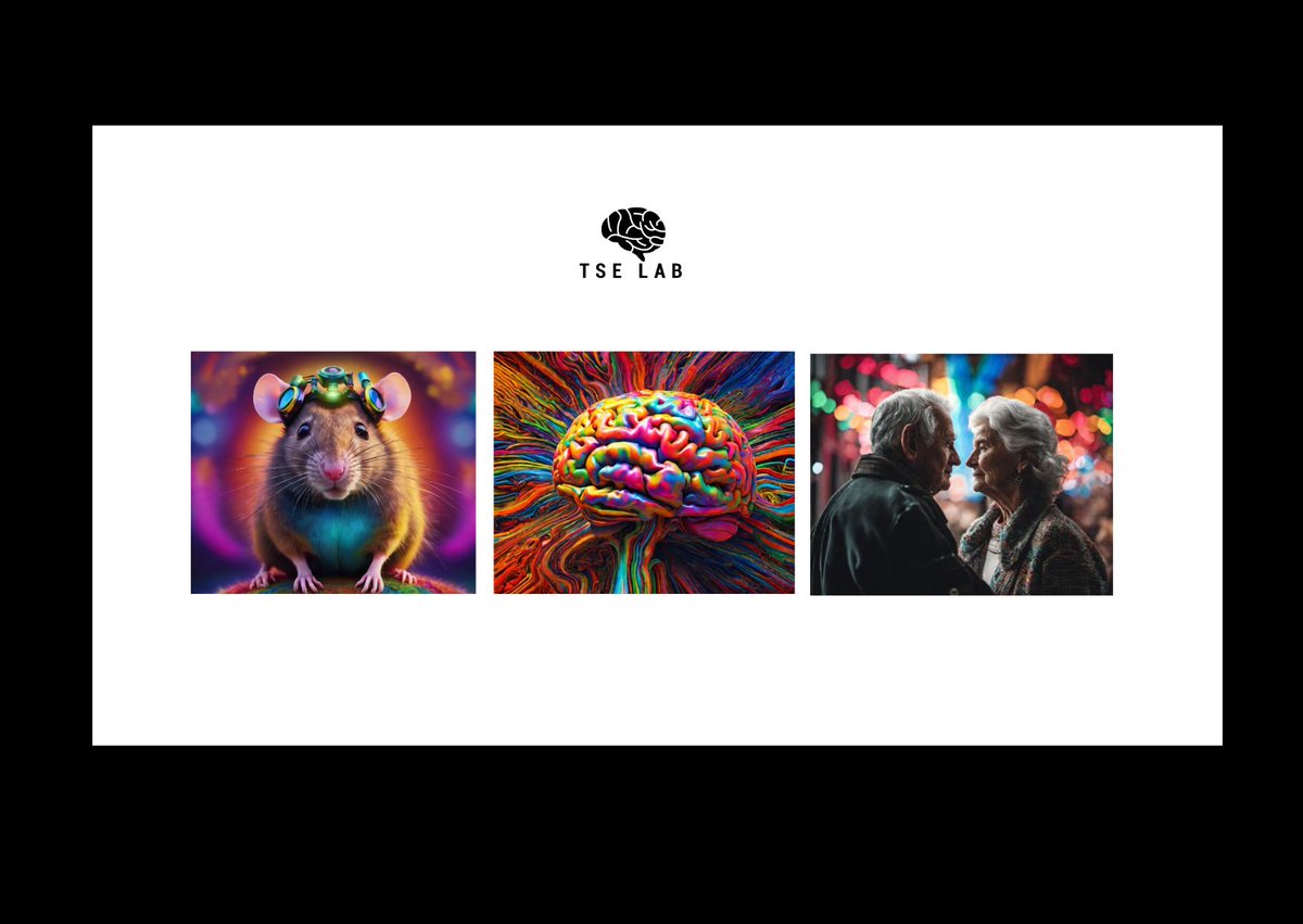 TseDorothyLab's tweet image. Excited to receive a Springboard grant from @acmedsci for a #memory #behavioural project highlighting the importance of translational research in healthy #ageing &amp;amp; early onset #dementia populations. Thanks to all funders, organisations: @wellcometrust @u3a_UK Aughton,@edgehill