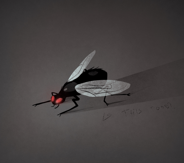 railaite.rob tweet media