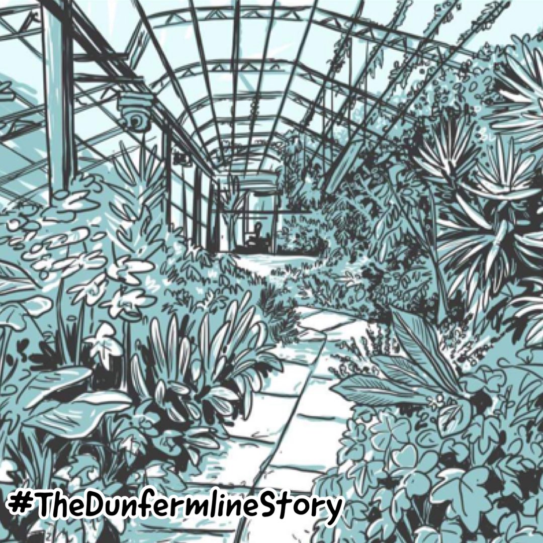 35/100 the glesshooses in Pittencrieff Park huv bin thair a lang time. A place tae see exotic plants fae faur aff launds.
Airt bi @JCampbelldraws 
#thedunfermlinestory #ScotLeid #ScotsLanguage #comic #history #Dunfermline