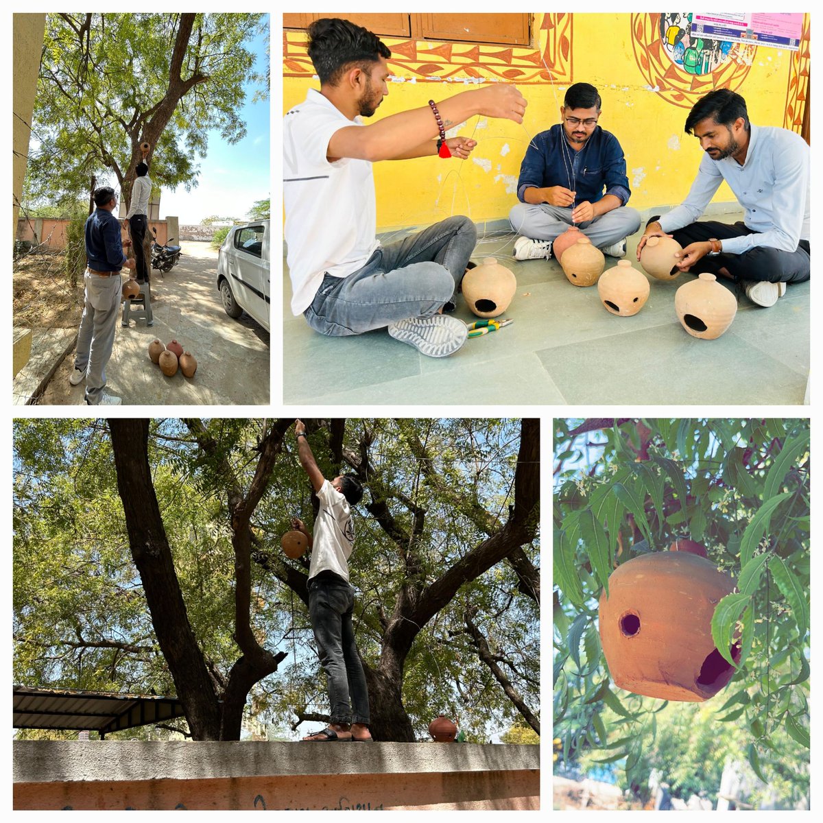 Save Sparrow 🐦
#WorldSparrowDay2024