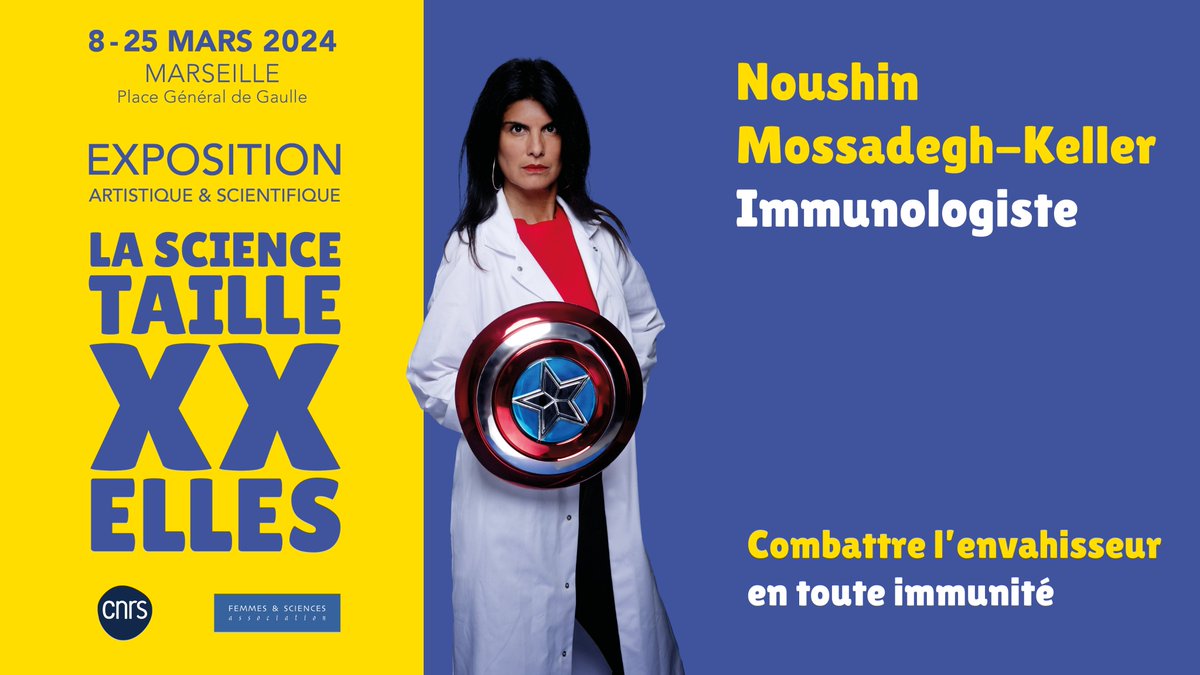 L’ère des #Xmen est révolue, voici venues les #science_XXelles 💪👩‍🔬! « Combattre l’envahisseur, en toute immunité », c’est la mission de Noushin @KellerMossadegh, ingénieure de recherche @cnrs au @CIML_Immunology. ➡️provence-corse.cnrs.fr/fr/personne/no…