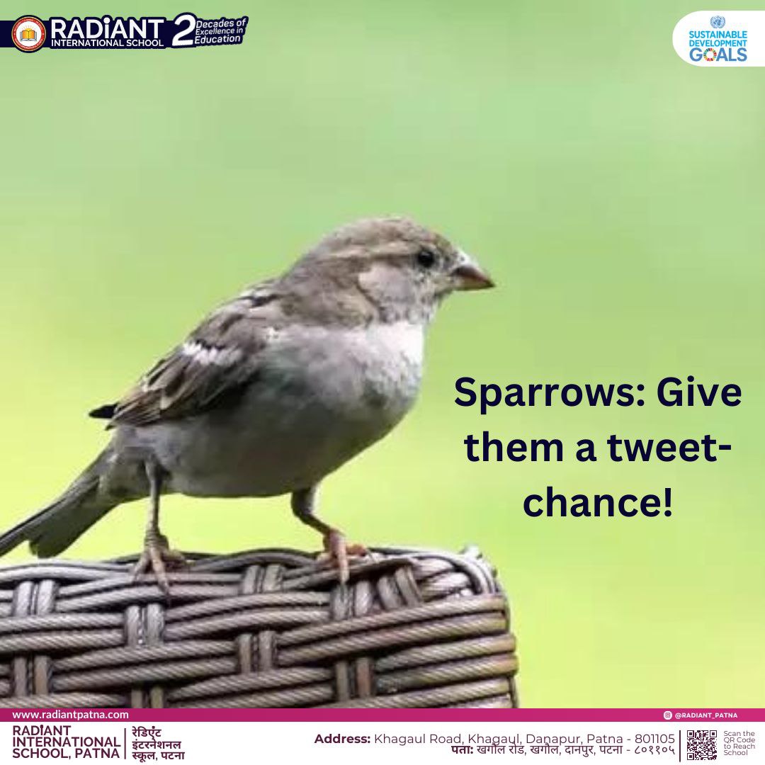 "Sparrows: Give them a tweet-chance!

#WorldSparrowDay is observed with the intention of creating awareness about the importance of the existence of sparrows for our ecosystem and biodiversity.

#TheSchoolThatCares