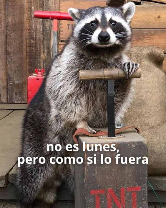 ah shit! menos mal que hoy sacamos ganador de un sorteo y lanzamos OTROOOOO